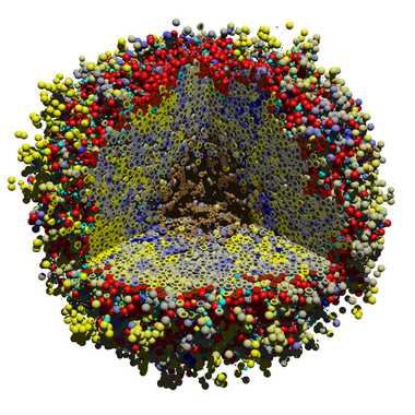 Early 3D tumor-immune modeling